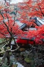 德州扑克 加注顺序-德州扑克，加注顺序的艺术与策略