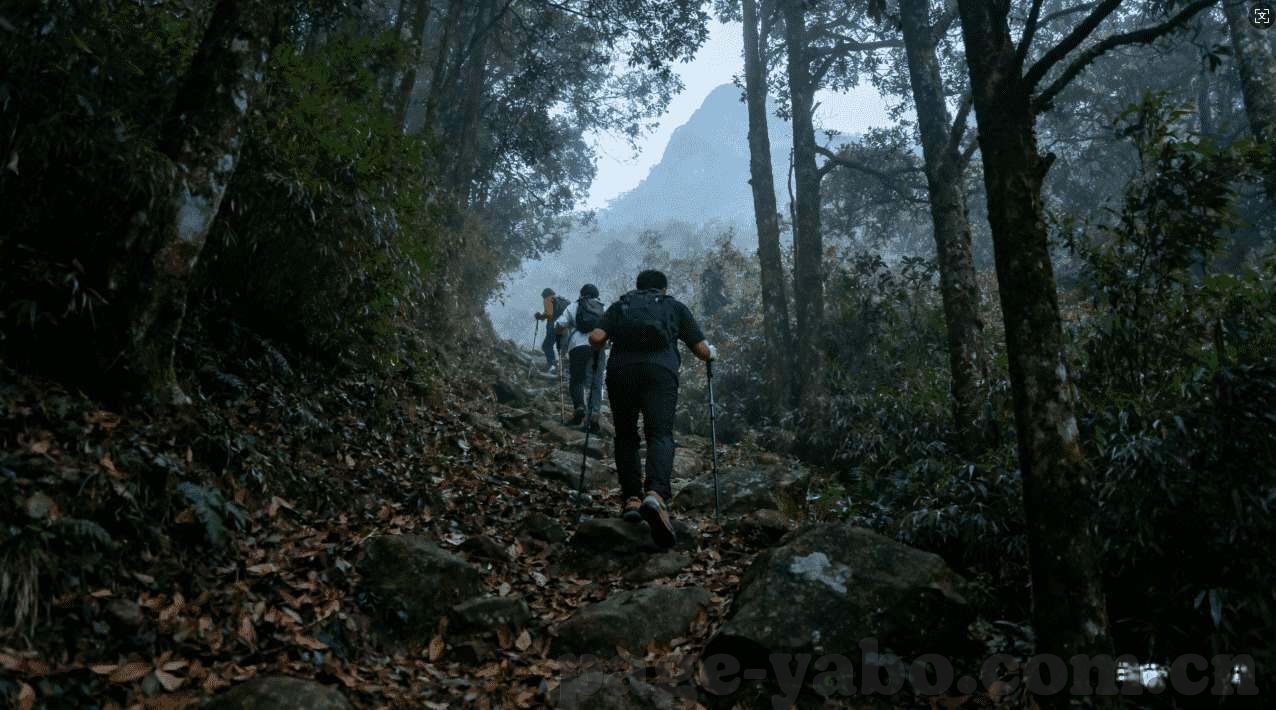 开云体育注册送88-开云体育注册，体验卓越服务从88元开始
