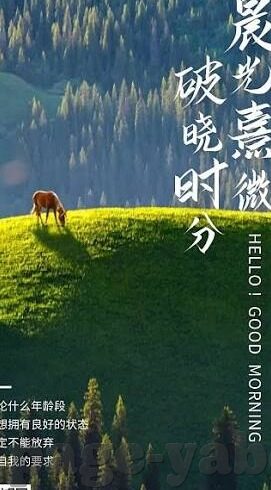 杏彩客服对话窗口-杏彩客服对话窗口，提升客户服务体验的新篇章